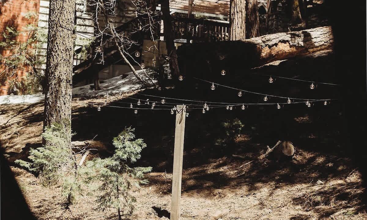 Photo of Outdoor in Cedar Glen