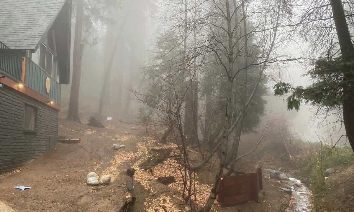 Photo of Others in Cedar Glen