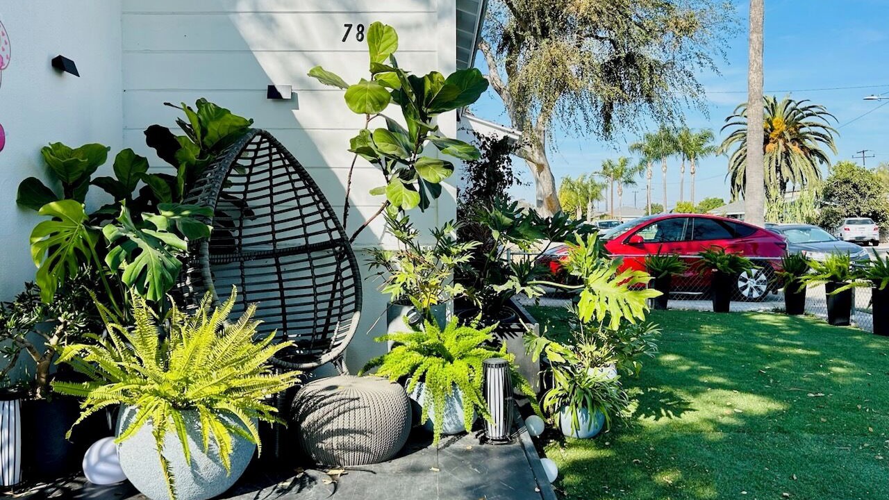 Photo of Outdoor in Santa Ana Heights