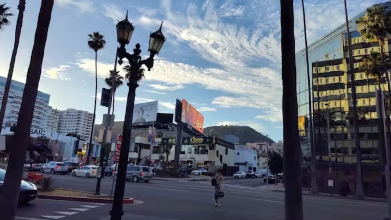 Photo of Others in Miracle Mile