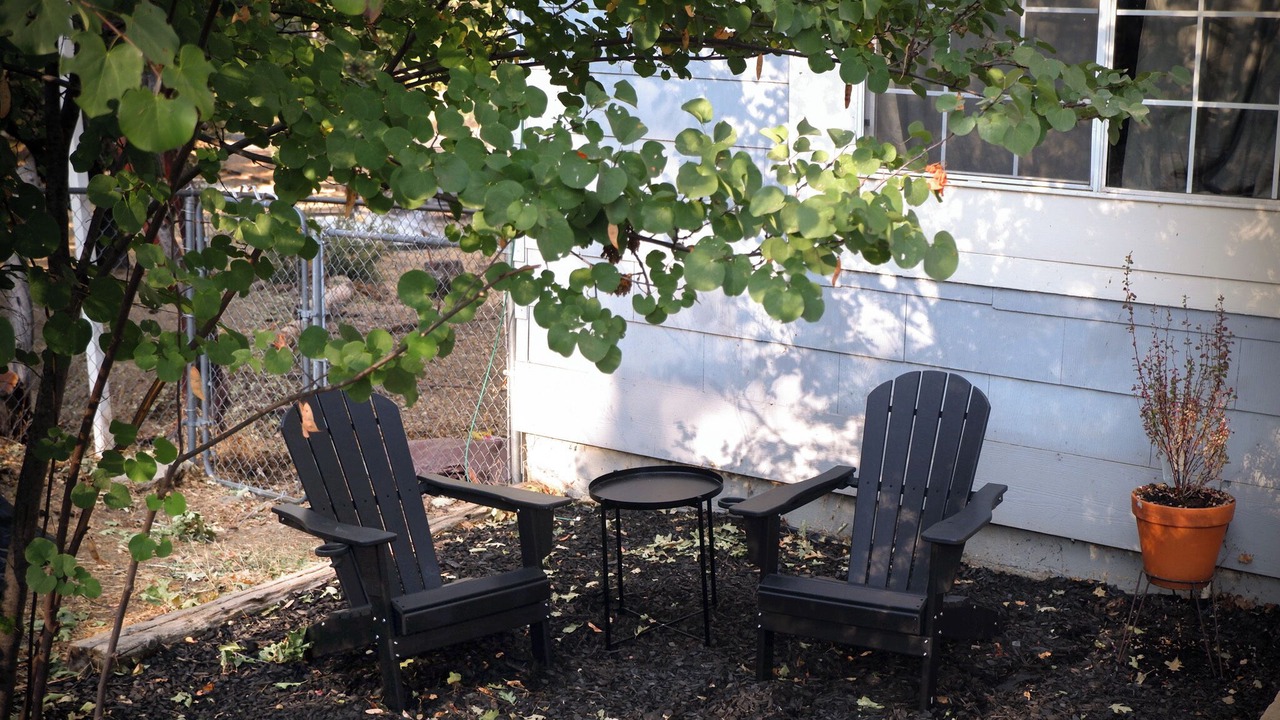 Photo of Outdoor in North Fork