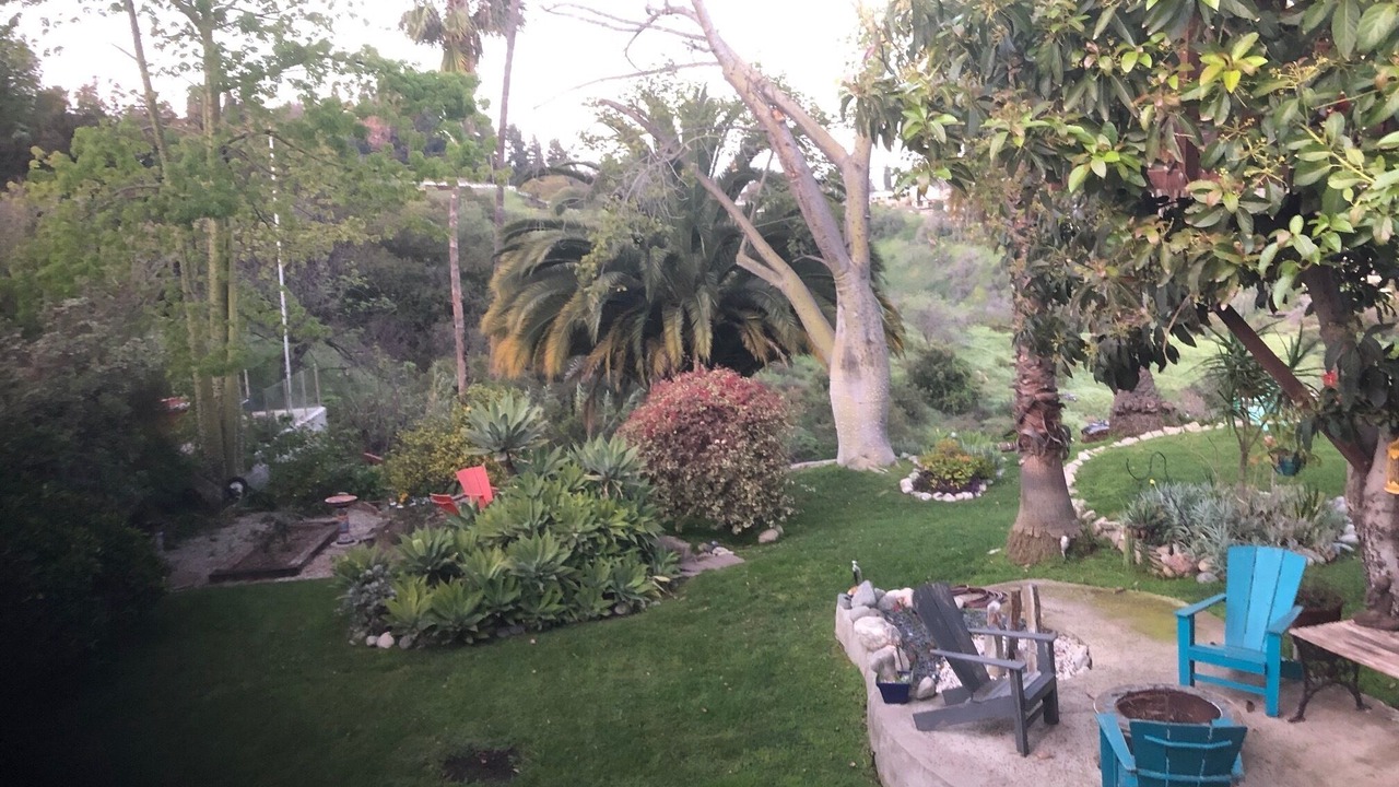 Photo of Outdoor in Cypress Park