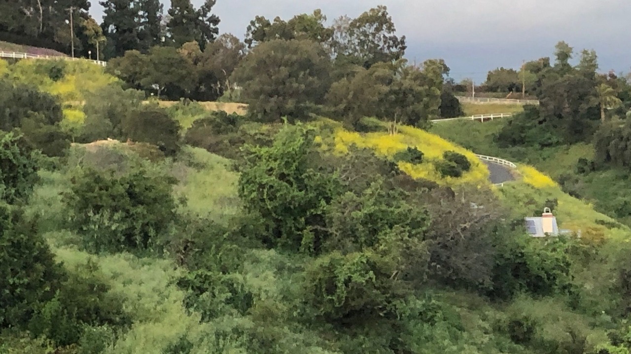 Photo of Others in Cypress Park