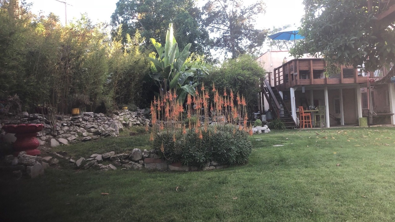 Photo of Outdoor in Cypress Park