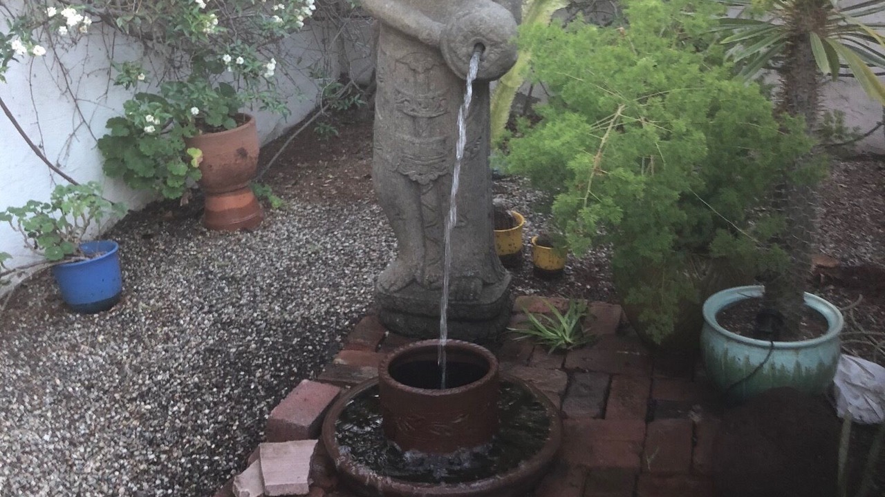 Photo of Outdoor in Cypress Park