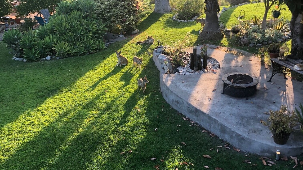 Photo of Outdoor in Cypress Park