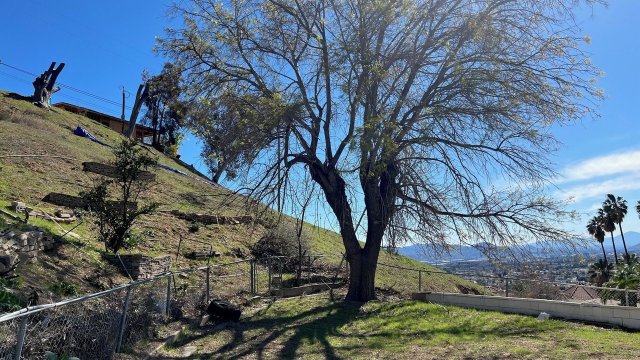 Photo of Outdoor in Patton