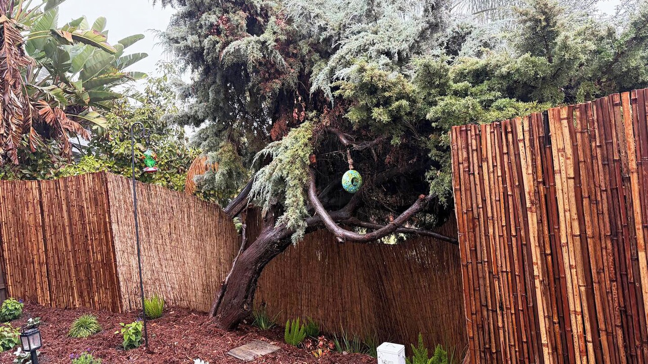 Photo of Outdoor in Central Escondido