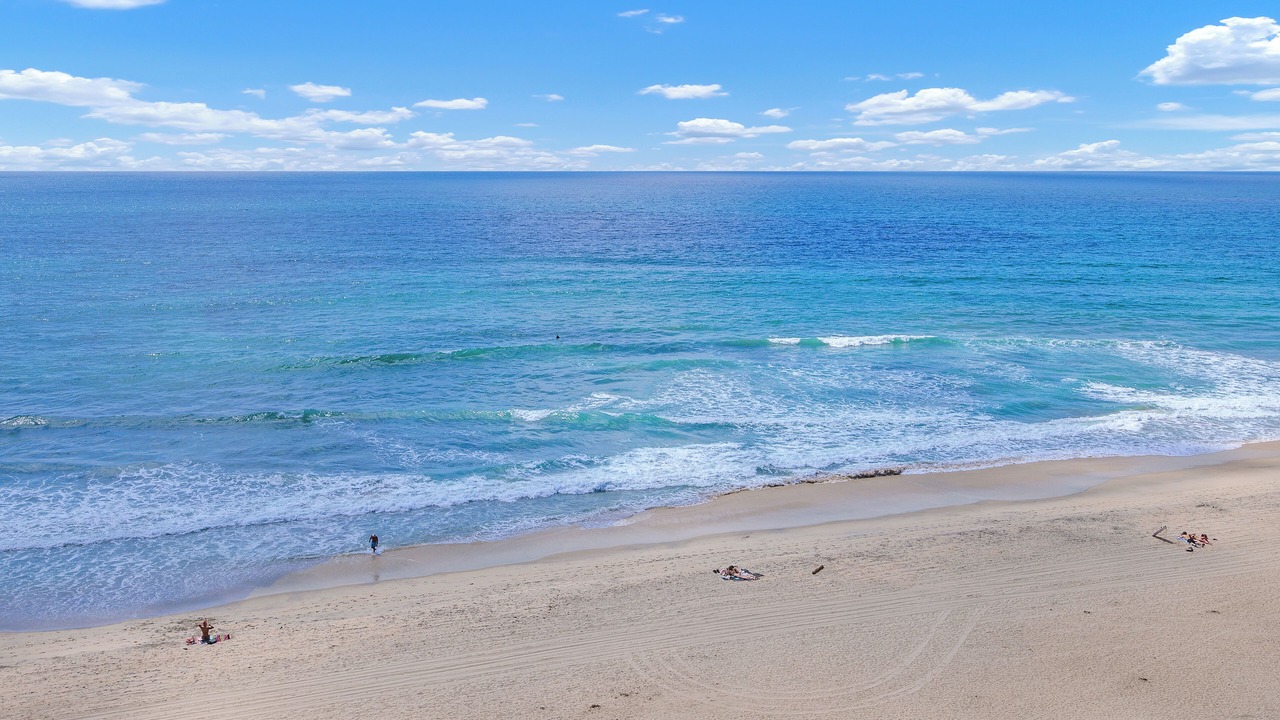 Photo of Others in Solana Beach