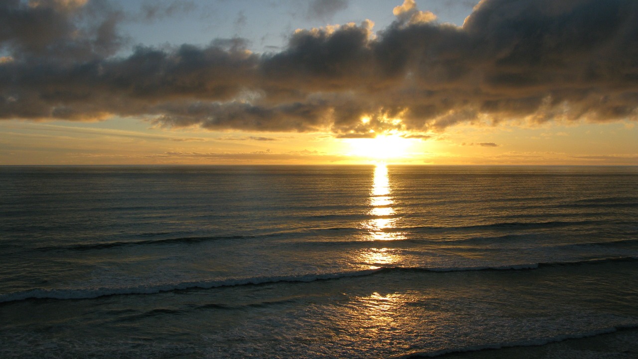 Photo of Others in Solana Beach