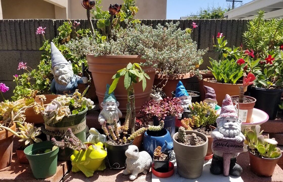 Photo of Outdoor in Midway City
