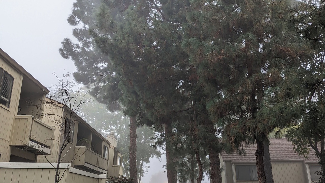 Photo of Outdoor in Santa Clara