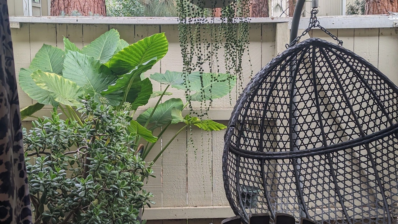 Photo of Patio Balcony in Santa Clara