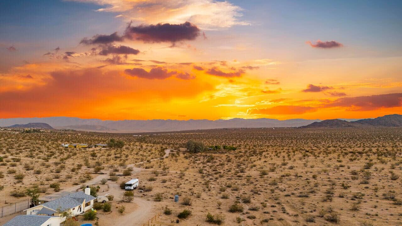 Photo of Others in Joshua Tree