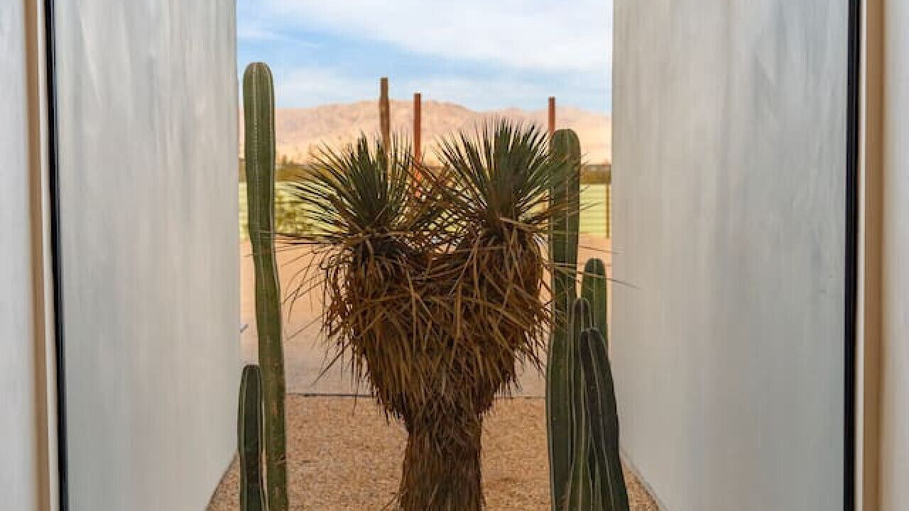 Photo of Others in Joshua Tree