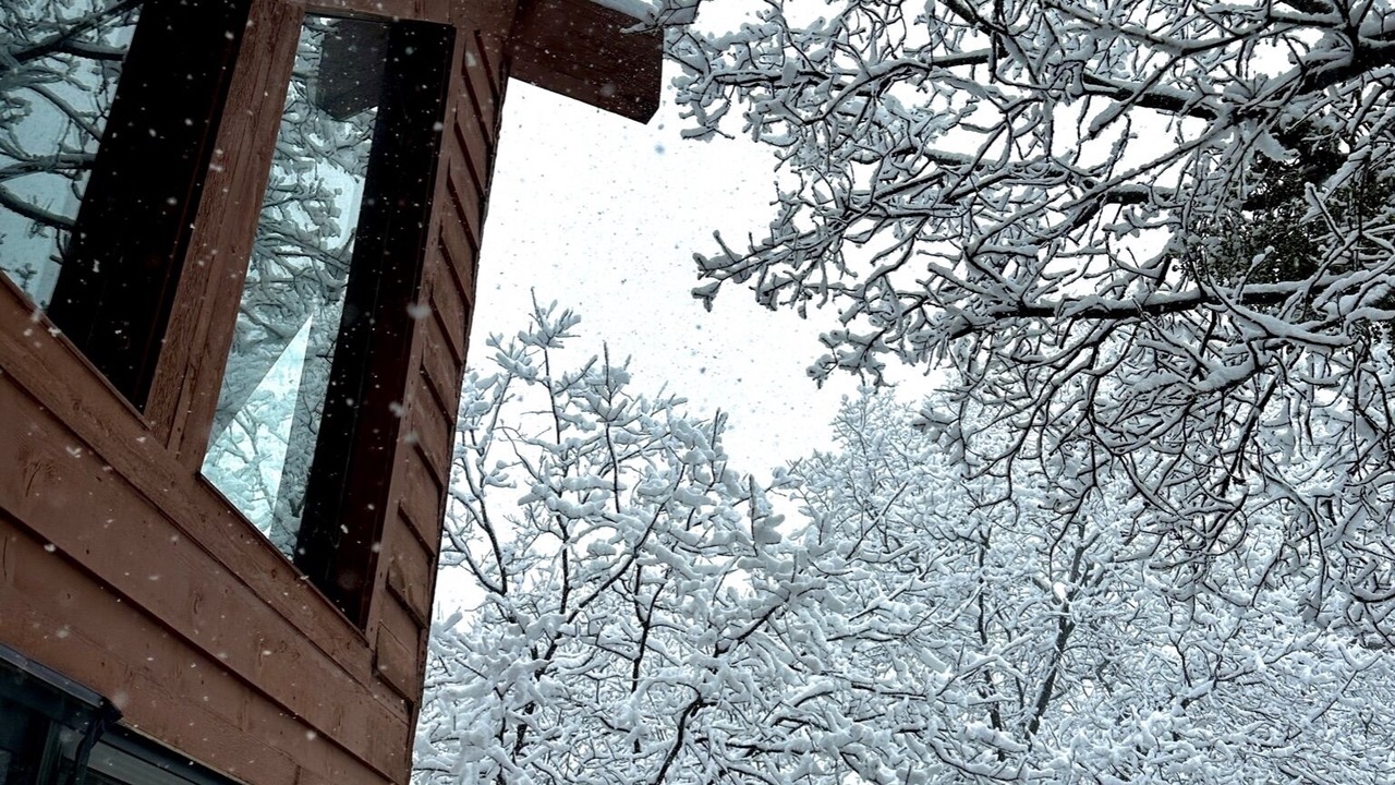 Photo of Outdoor in Lake Arrowhead