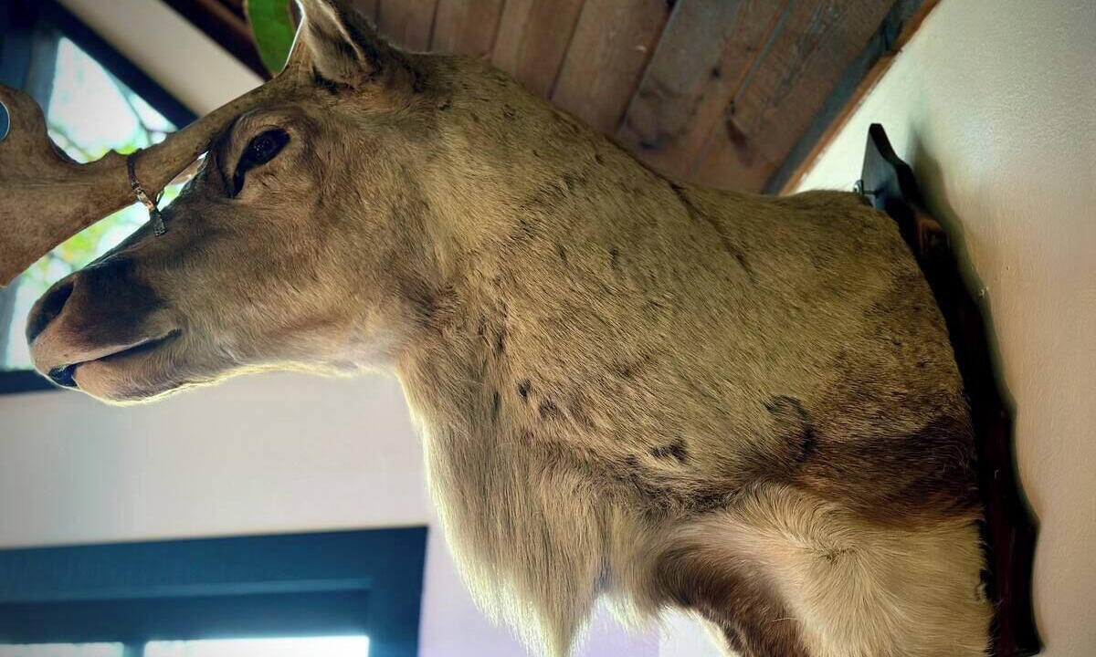 Photo of Others in Lake Arrowhead