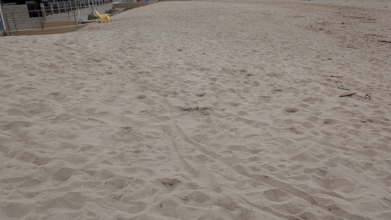 Photo of Others in Ventura