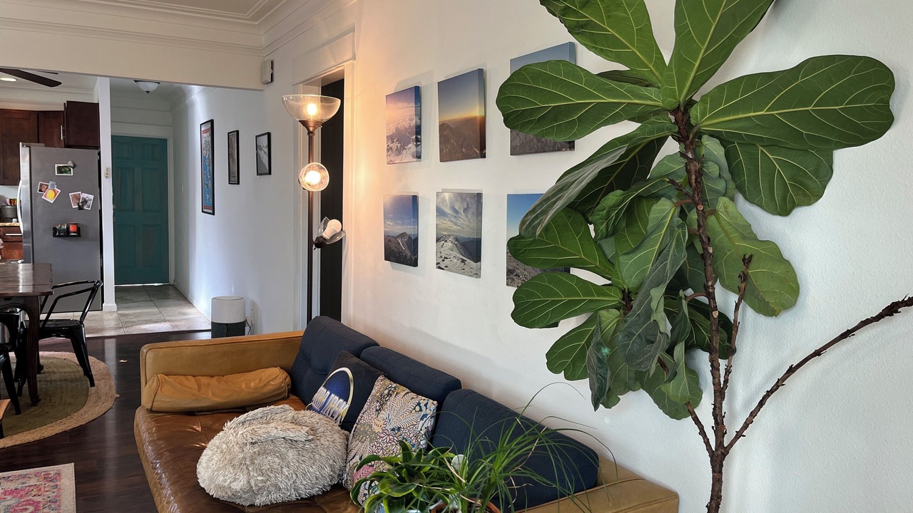 Photo of Livingroom in Park Mesa Heights