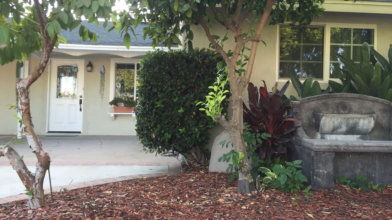 Photo of Outdoor in Lake Balboa