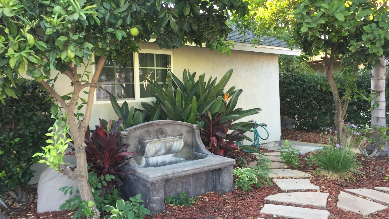 Photo of Outdoor in Lake Balboa