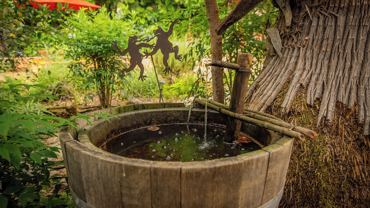 Photo of Outdoor in Ojai