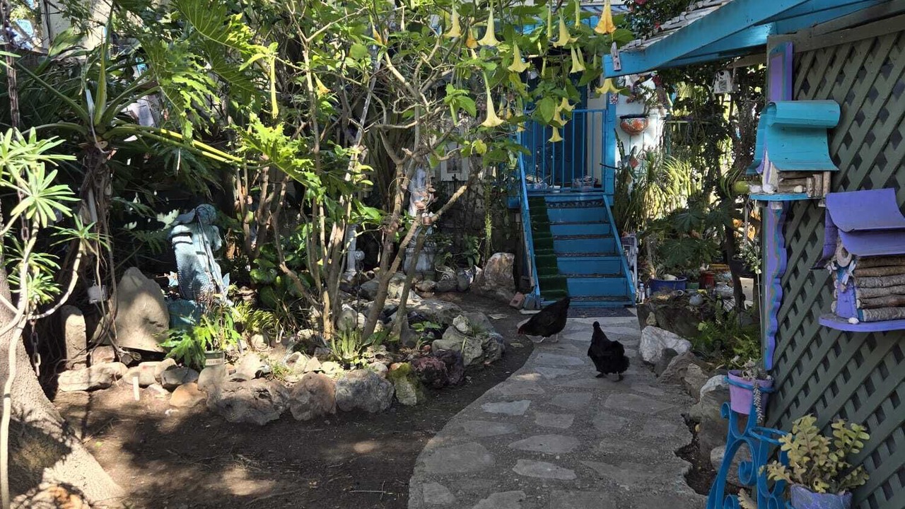 Photo of Outdoor in Sunset Park