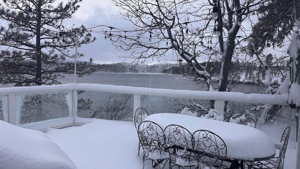 Photo of Outdoor in Cedar Glen