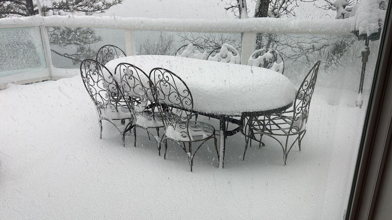 Photo of Outdoor in Cedar Glen