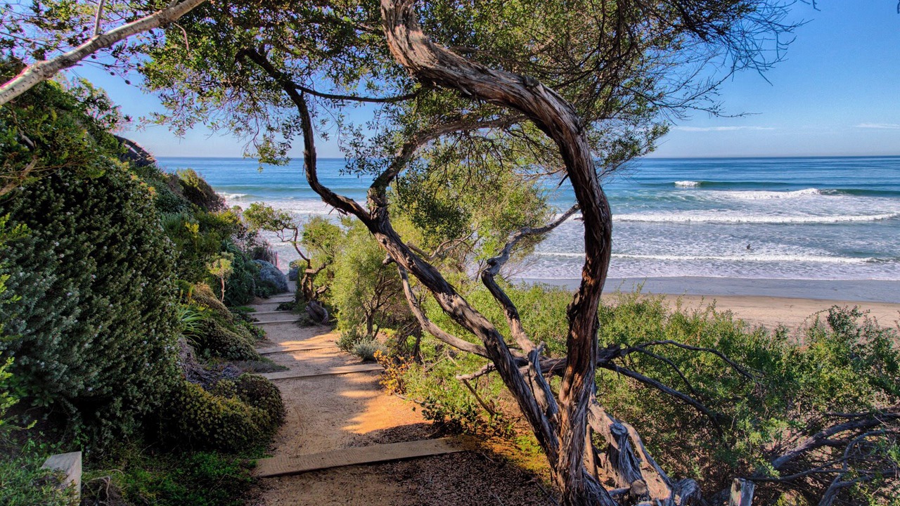 Photo of Others in Solana Beach