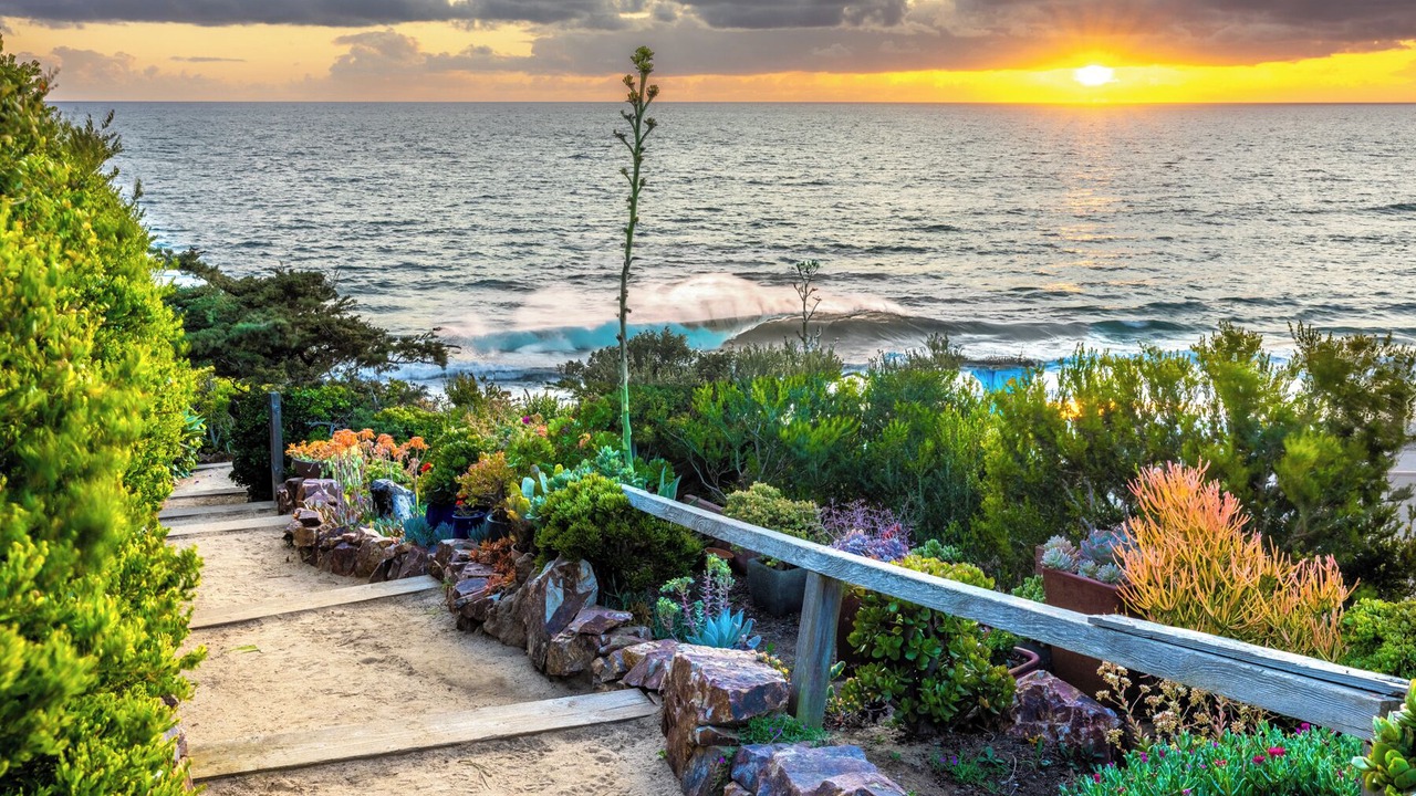 Photo of Others in Solana Beach
