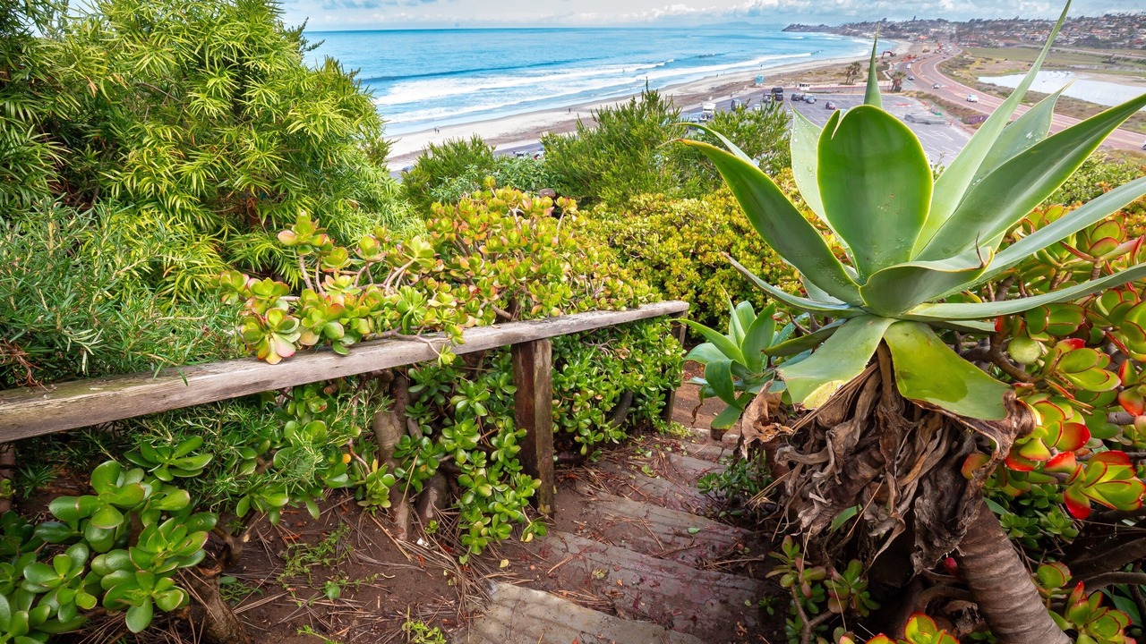 Photo of Others in Solana Beach