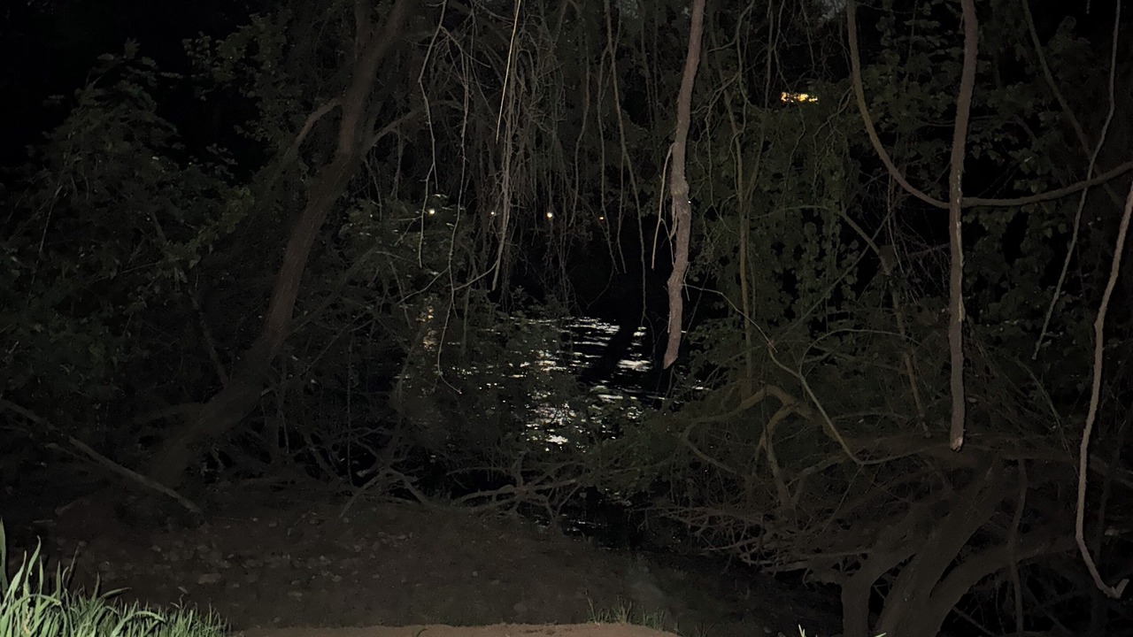 Photo of Others in Knights Ferry