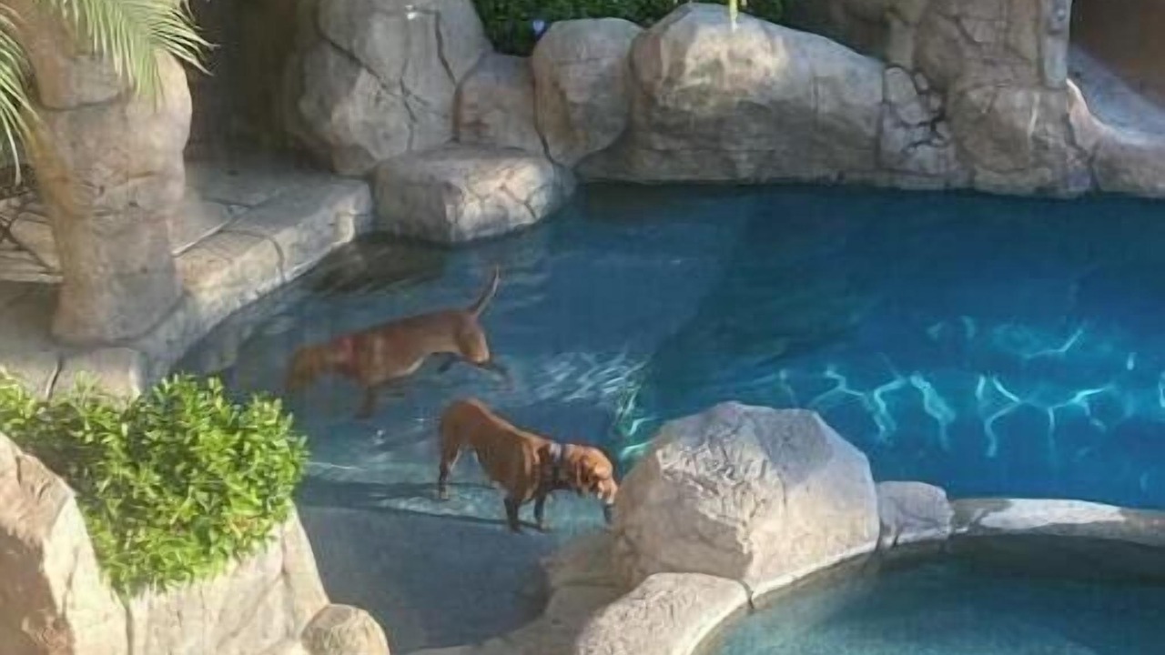Photo of Outdoor in Orange