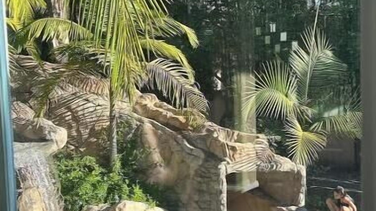 Photo of Outdoor in Orange