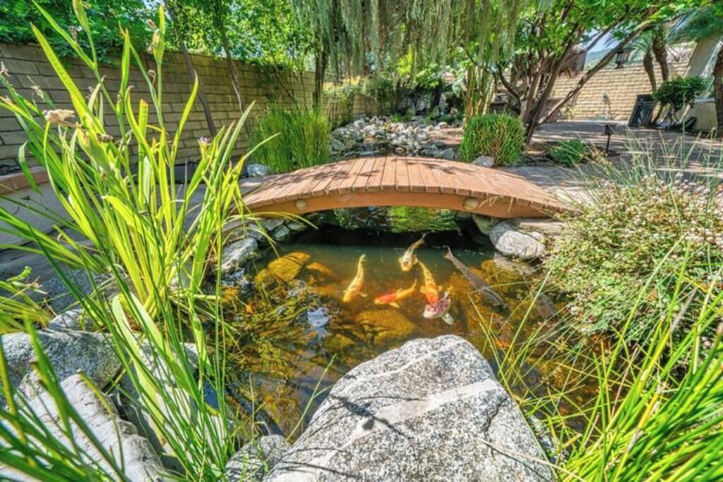 Photo of Outdoor in Bonita