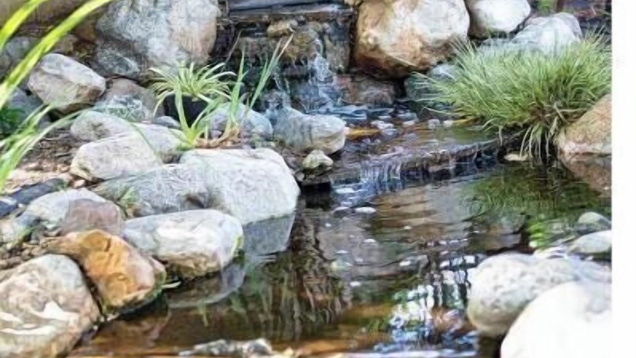 Photo of Outdoor in Bonita