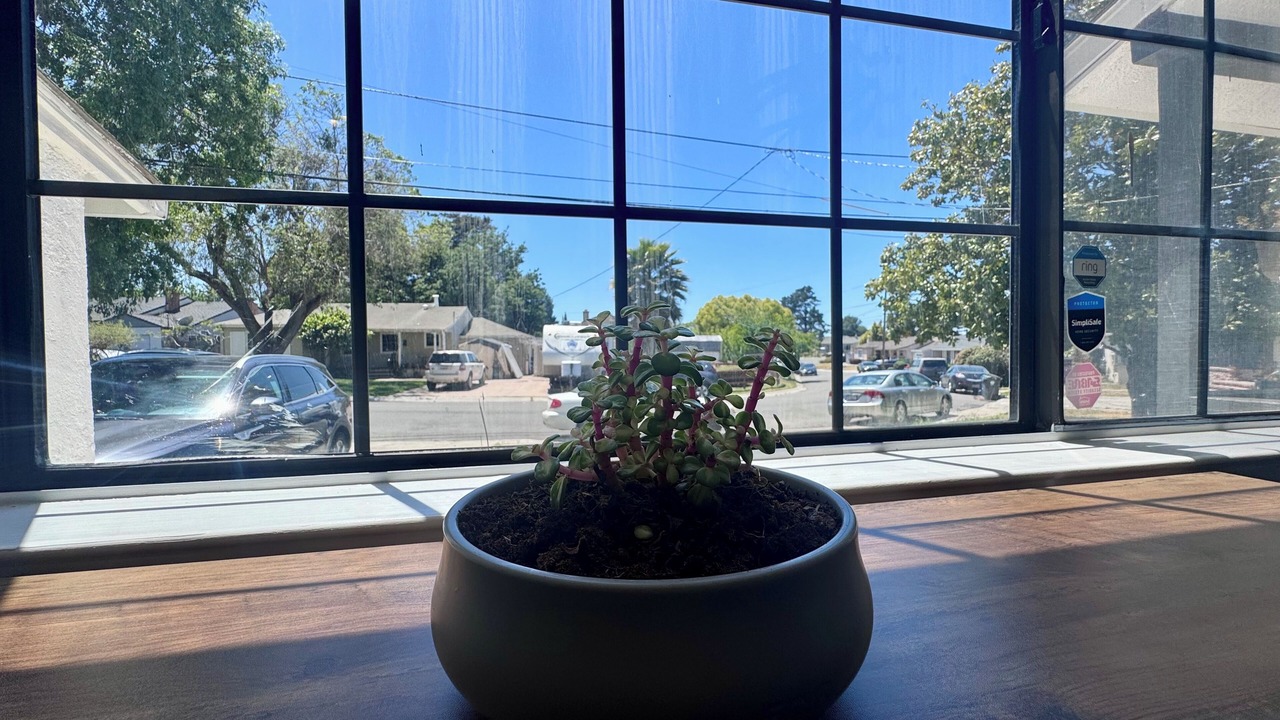 Photo of Others in Castro Valley