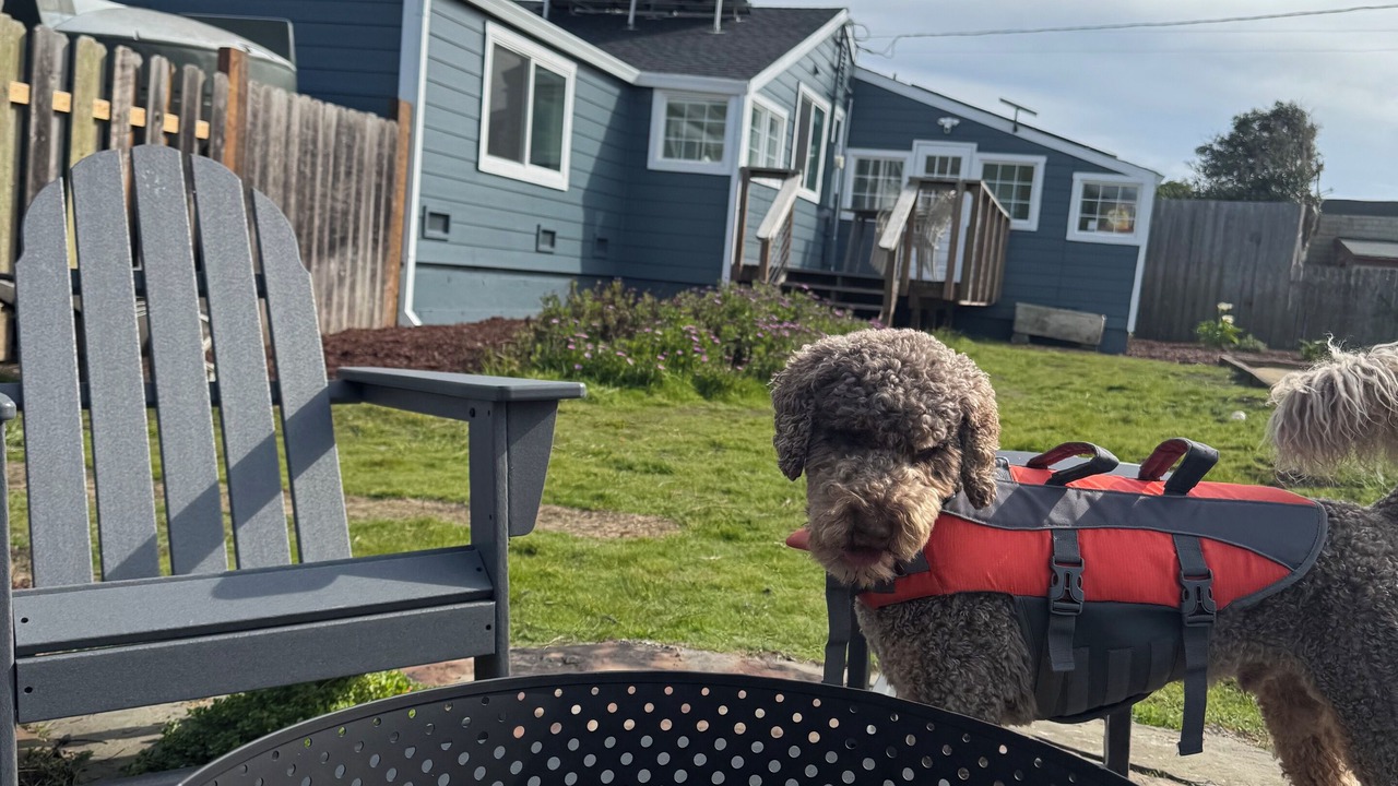Photo of Patio Balcony in Bodega Bay