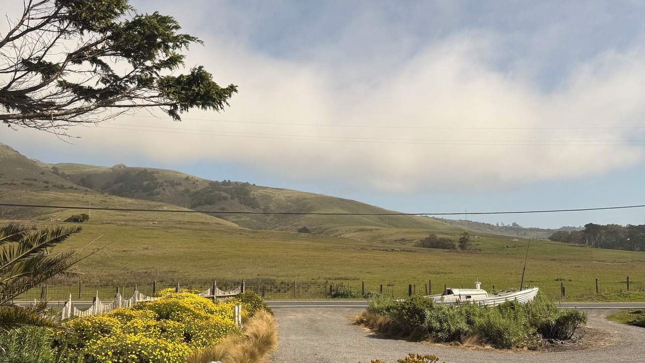 Photo of Others in Bodega Bay