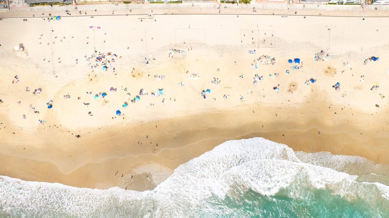 Photo of Others in Mission Beach