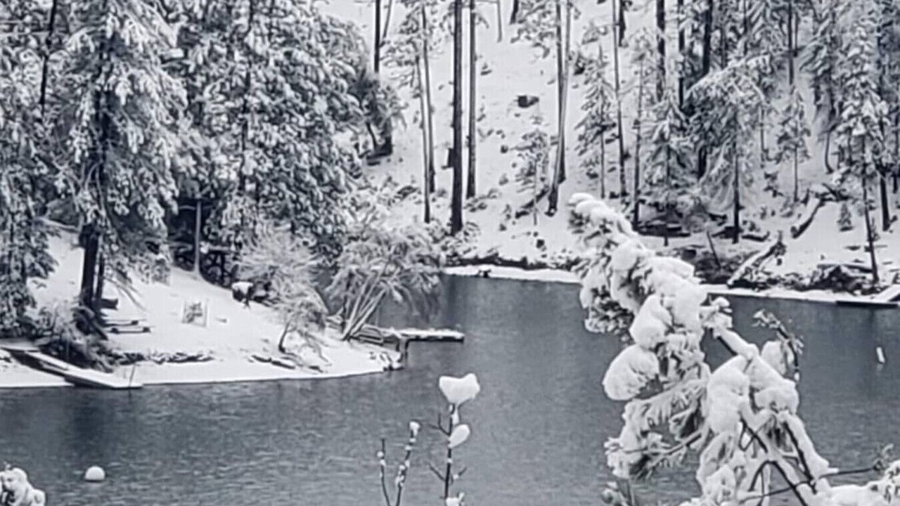 Photo of Others in Groveland