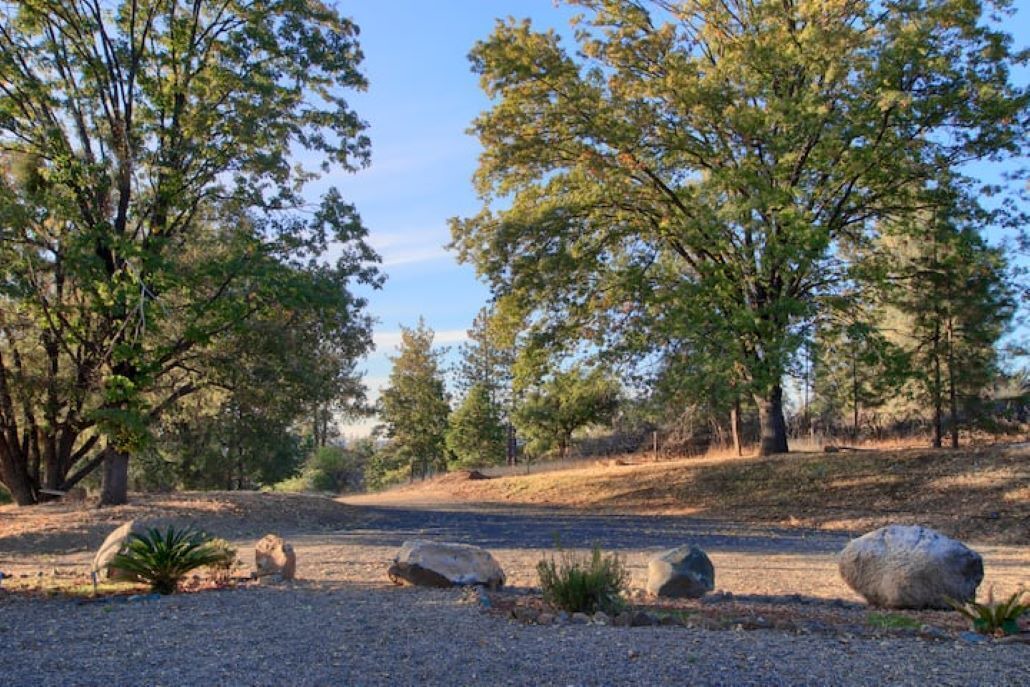 Photo of Others in Mariposa