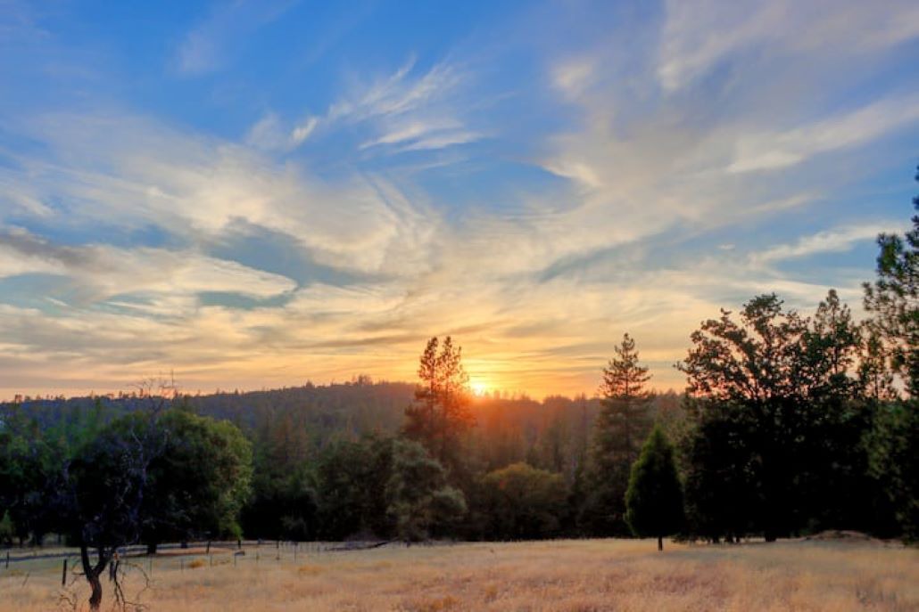 Photo of Others in Mariposa
