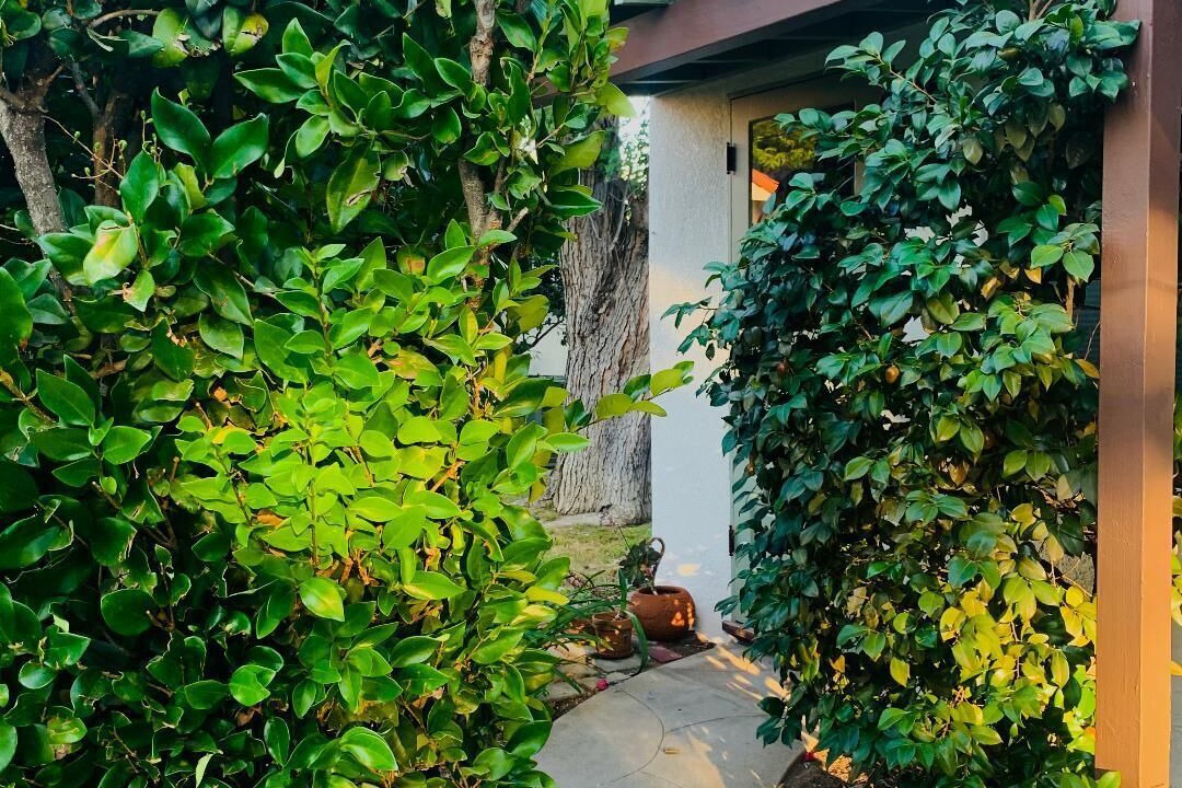 Photo of Outdoor in Altadena