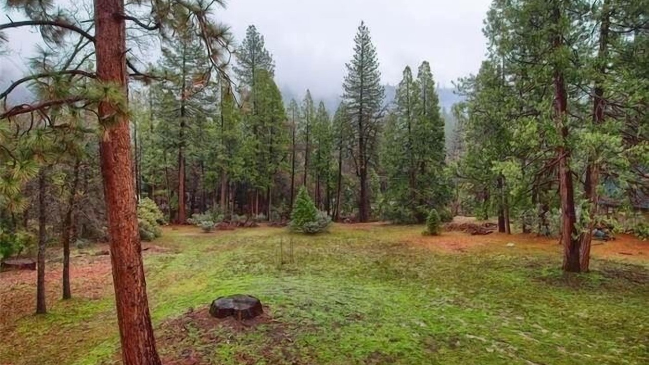 Photo of Others in Oakhurst