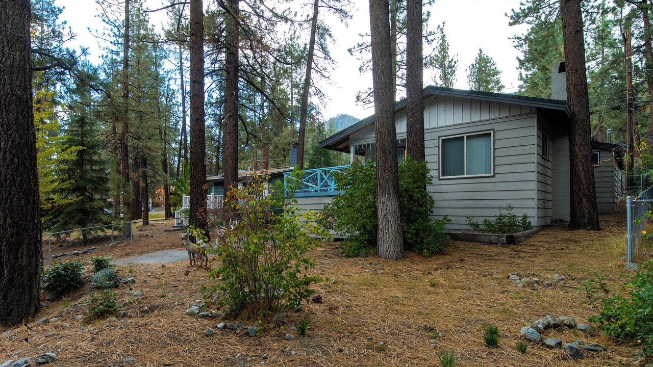 Photo of Outdoor in Wrightwood