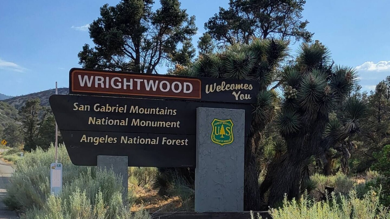 Photo of Others in Wrightwood