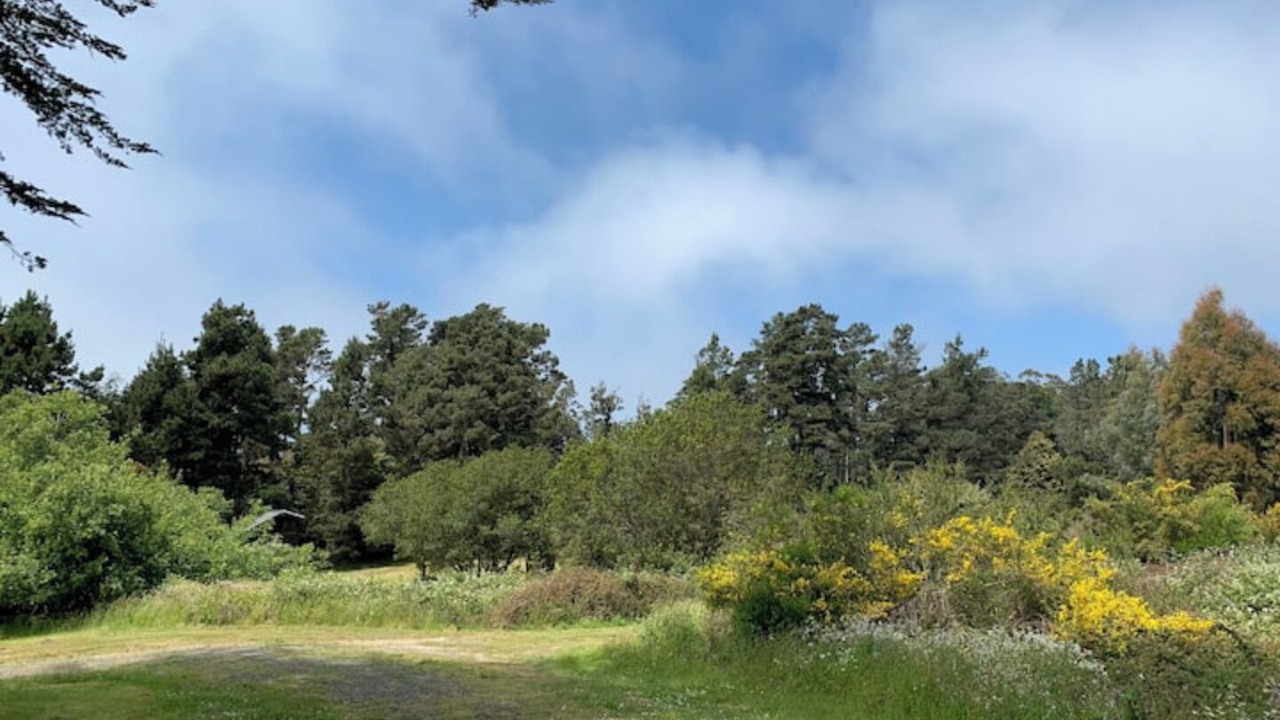 Photo of Others in Fort Bragg