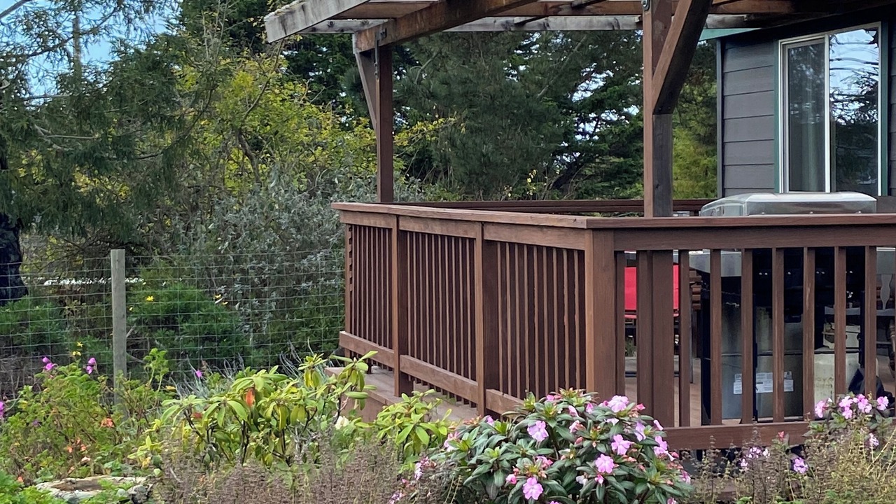 Photo of Outdoor in Fort Bragg